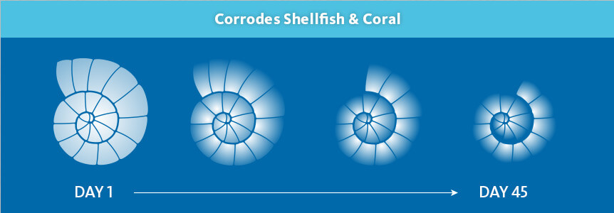 AQ-ClimateChange_body1 (1)