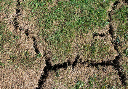 AQ-WaterConservationHome_body1