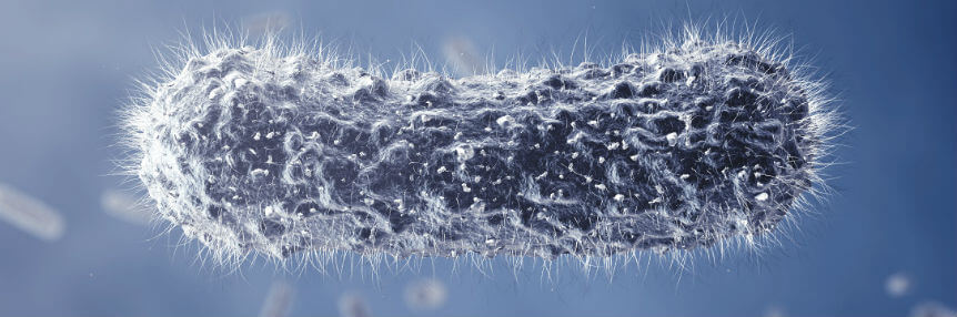  Chlorine is used to remove microscopic bacteria from the water supply.