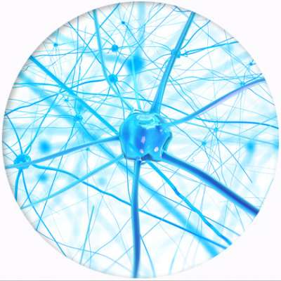 Fluoride causes damage to the developing brain