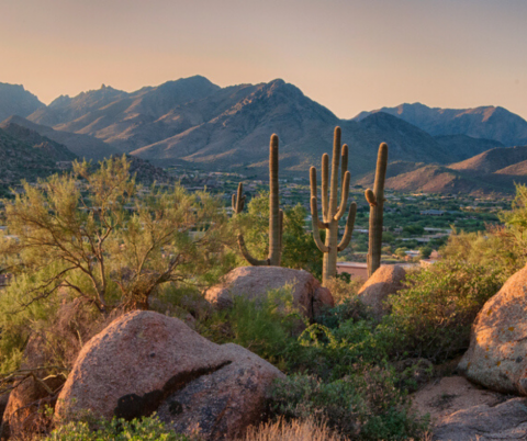 waterscarcity_blog_body1